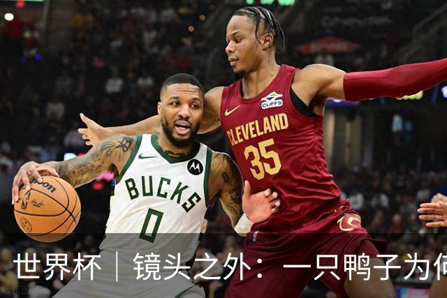 世界杯｜镜头之外：一只鸭子为何火遍世界杯？