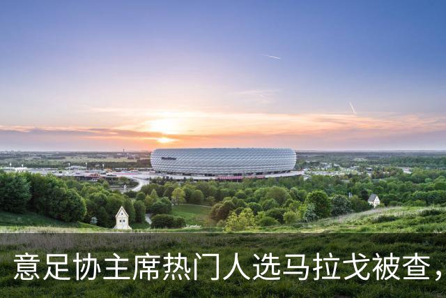 意足协主席热门人选马拉戈被查，若违反旋转门规则将失去参选资格